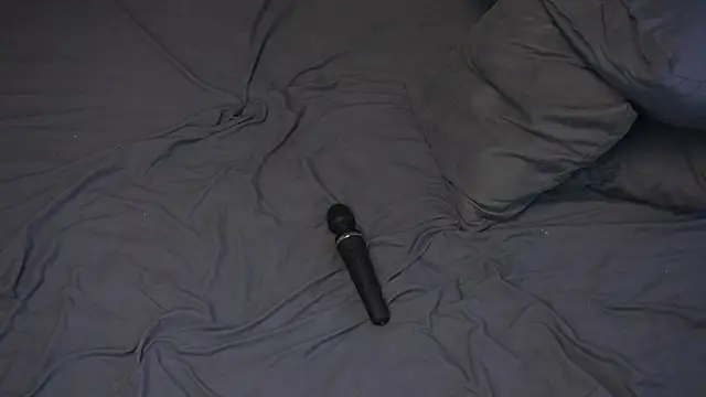 freefury webcam