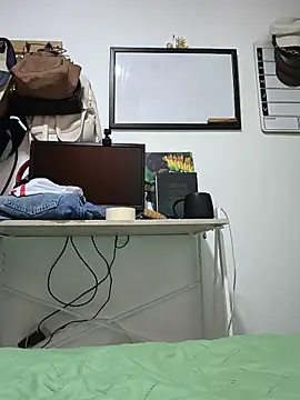 Sakura_0505 webcam
