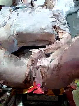 Ziny_Ziny webcam