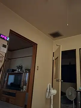 SaneService9 webcam