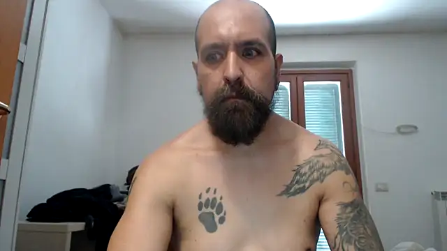 AMIRDIB2025 webcam