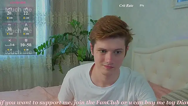 Allert_ webcam