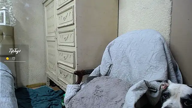 Dreams_sophi webcam
