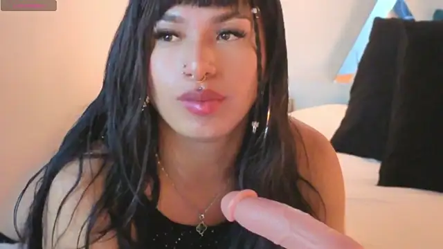 MeelFox webcam