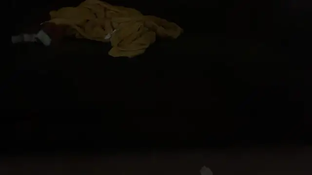 IBRAELM_ webcam