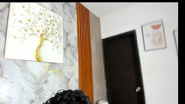 BOUL_GUYS webcam