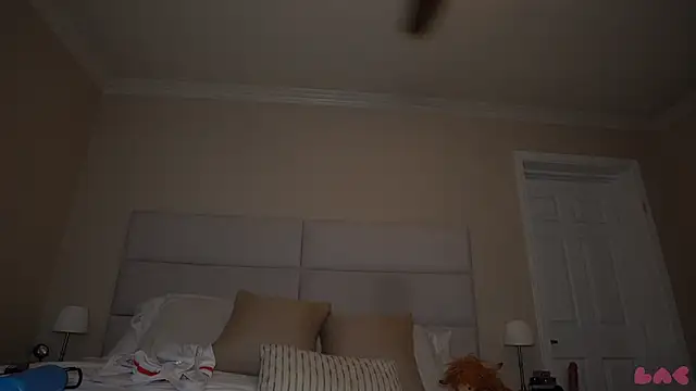 baedot webcam