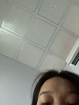 An-An19 webcam