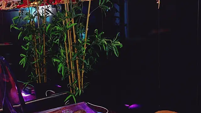 Ivorym00n webcam