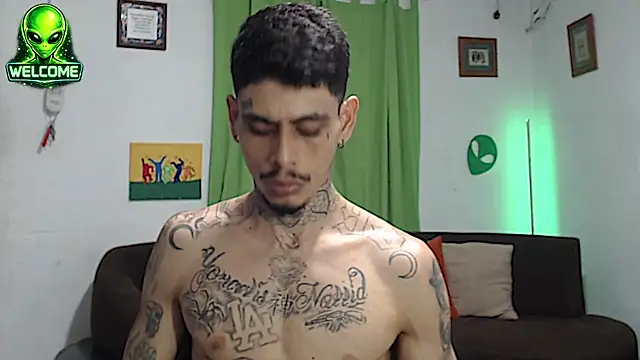 alpha_zom webcam