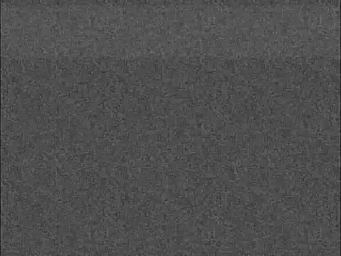 Natali3855 webcam