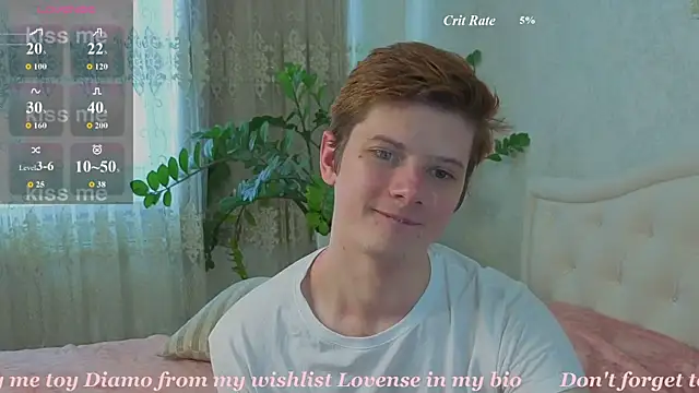 Allert_ webcam