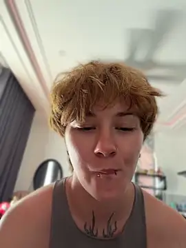 IceMur webcam