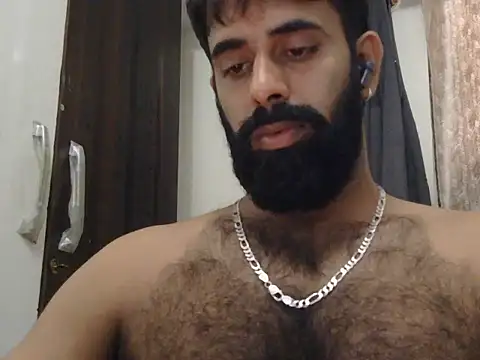 indianhairybull webcam