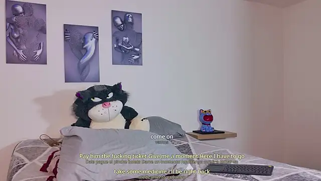 tivendann webcam