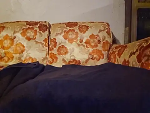 DevG59 webcam