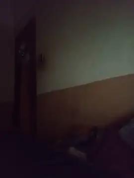 segnini21 webcam