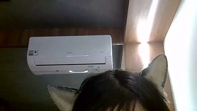 SkinnyKitten webcam