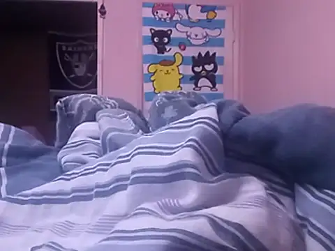 Blkstylion webcam