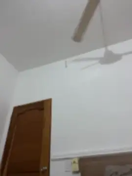 Nhefertary webcam
