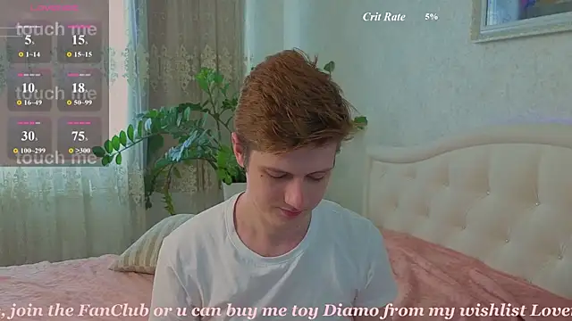 Allert_ webcam