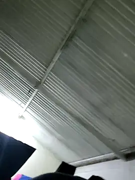 PIGHIGHDIRTY_p0 webcam