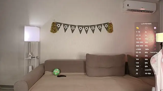 Petitekaya webcam