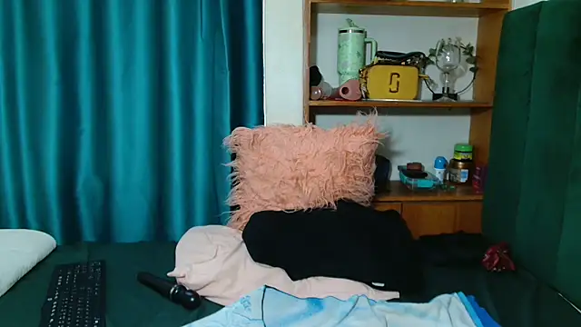 Theecougar webcam