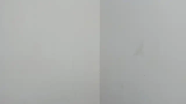Real_Slim_Thick webcam