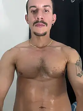lazzon_bastion webcam