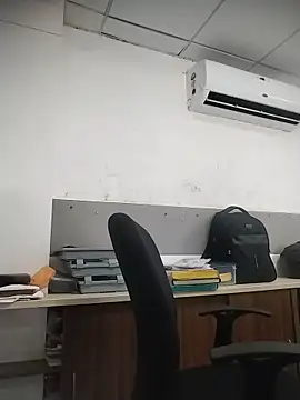 Desi_Lodo_Gujju_Boy webcam