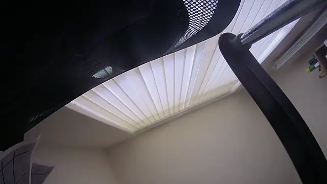 kotkite webcam