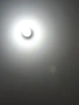 mia_mancinii webcam