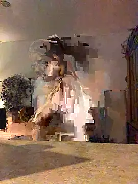 3littles webcam