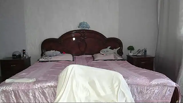 Batari webcam