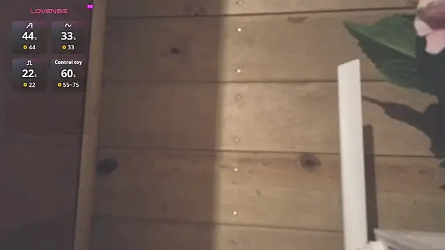 vickvalencia2 webcam
