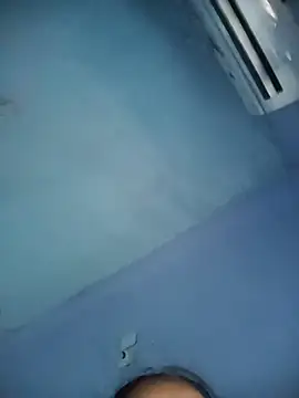 Hansikatelugu webcam