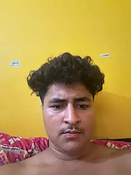 cannonWithMuscles webcam