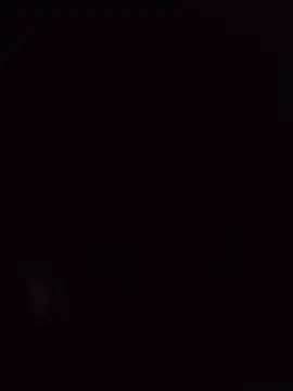 Foxdaguy webcam