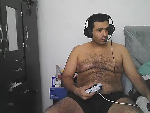 IronSideBear webcam