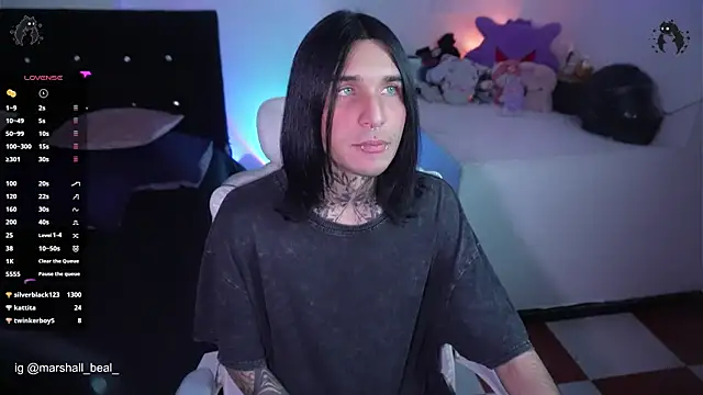 marshall__k webcam