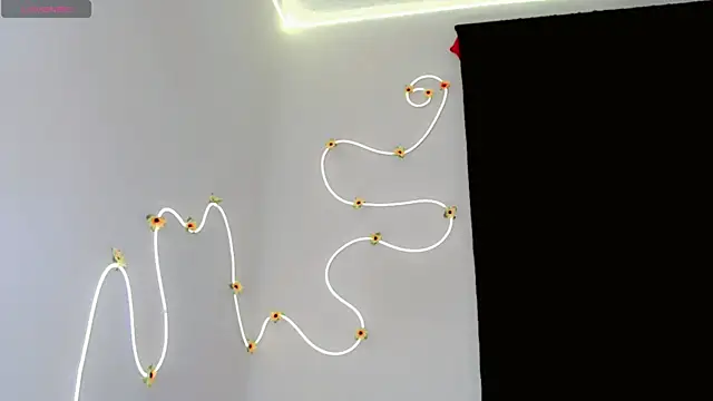 everlin_01 webcam