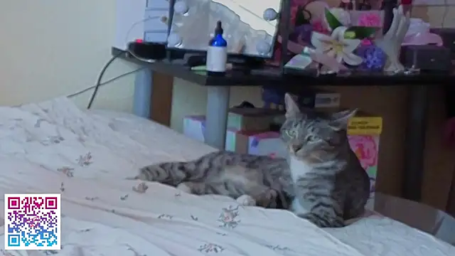 boozekirs_ webcam