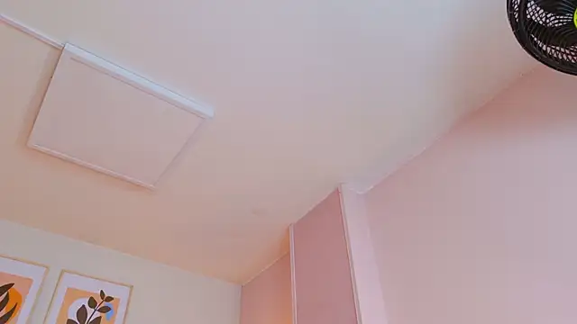 DemiJones_ webcam