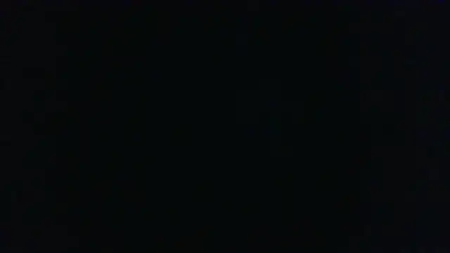 BustedCall webcam