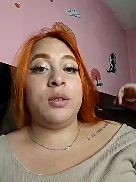 venuscopper webcam