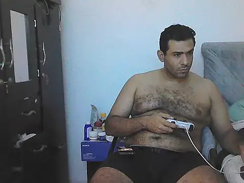 IronSideBear webcam