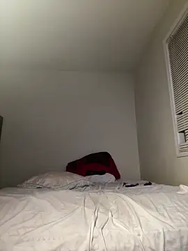 Stefiveloz webcam