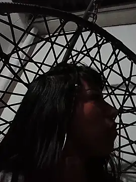 MeelFox webcam