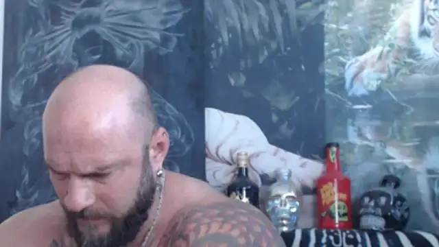 viking_30 webcam